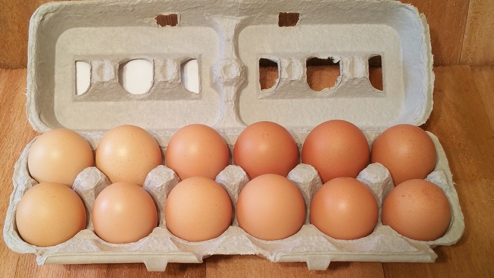 Eggs image